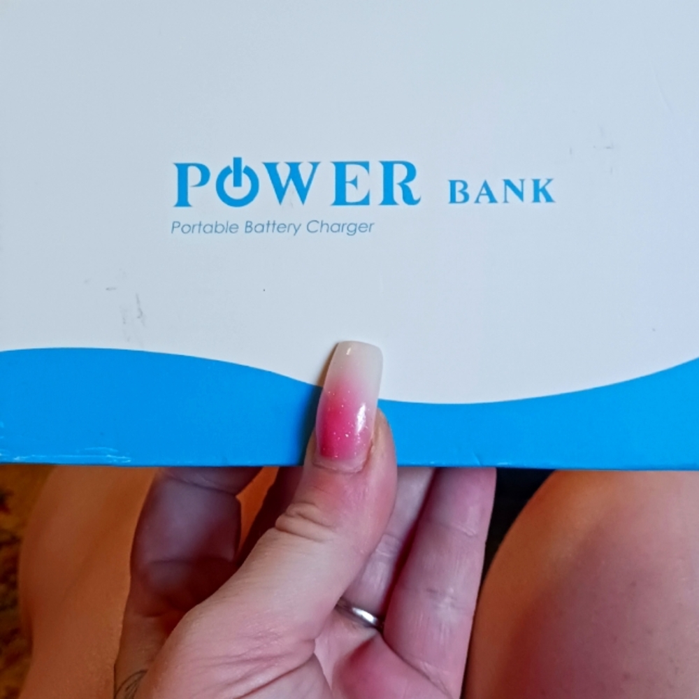 Portable battery charger